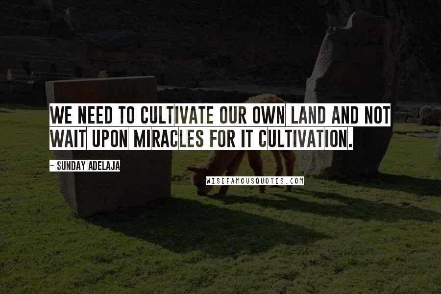 Sunday Adelaja Quotes: We need to cultivate our own land and not wait upon miracles for it cultivation.