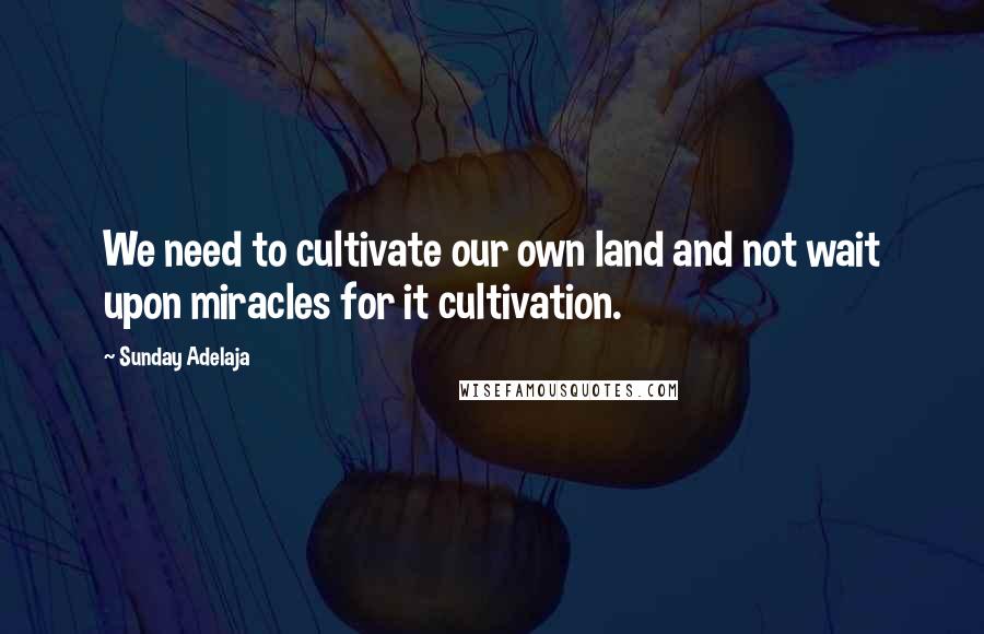 Sunday Adelaja Quotes: We need to cultivate our own land and not wait upon miracles for it cultivation.