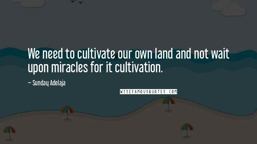 Sunday Adelaja Quotes: We need to cultivate our own land and not wait upon miracles for it cultivation.