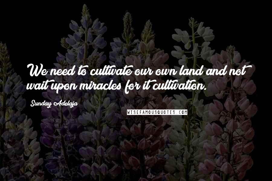 Sunday Adelaja Quotes: We need to cultivate our own land and not wait upon miracles for it cultivation.