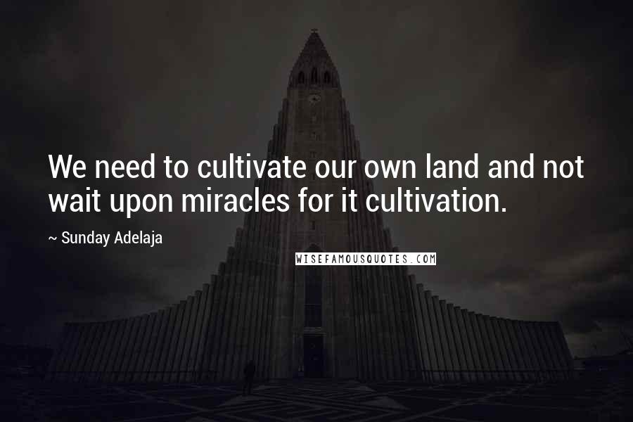Sunday Adelaja Quotes: We need to cultivate our own land and not wait upon miracles for it cultivation.