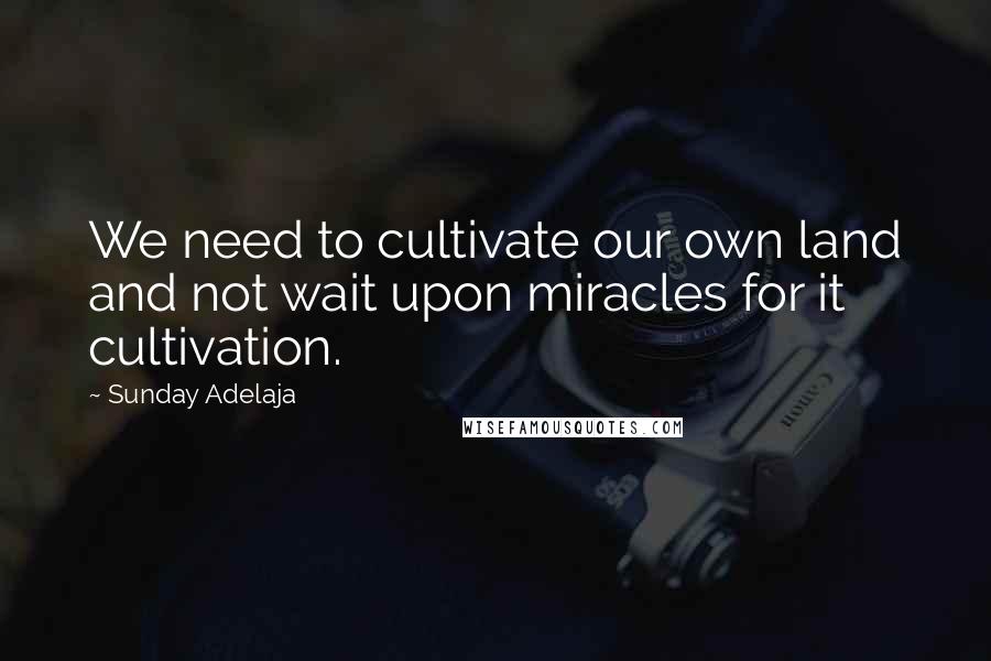 Sunday Adelaja Quotes: We need to cultivate our own land and not wait upon miracles for it cultivation.