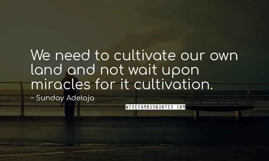 Sunday Adelaja Quotes: We need to cultivate our own land and not wait upon miracles for it cultivation.