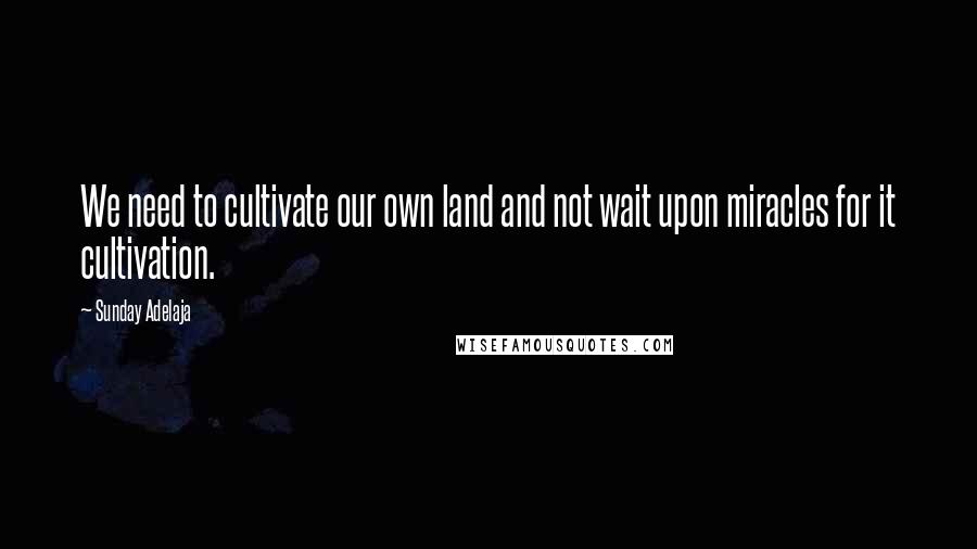 Sunday Adelaja Quotes: We need to cultivate our own land and not wait upon miracles for it cultivation.