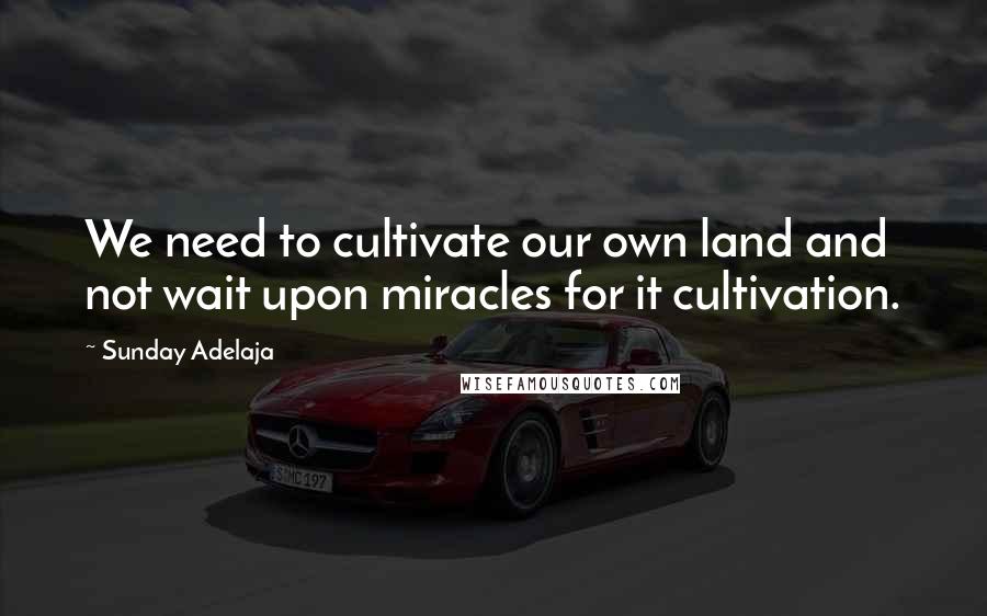 Sunday Adelaja Quotes: We need to cultivate our own land and not wait upon miracles for it cultivation.