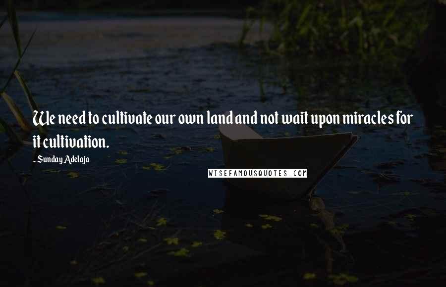 Sunday Adelaja Quotes: We need to cultivate our own land and not wait upon miracles for it cultivation.