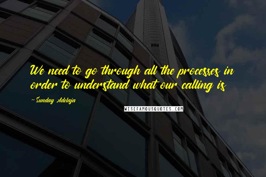 Sunday Adelaja Quotes: We need to go through all the processes in order to understand what our calling is