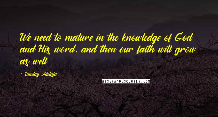 Sunday Adelaja Quotes: We need to mature in the knowledge of God and His word, and then our faith will grow as well