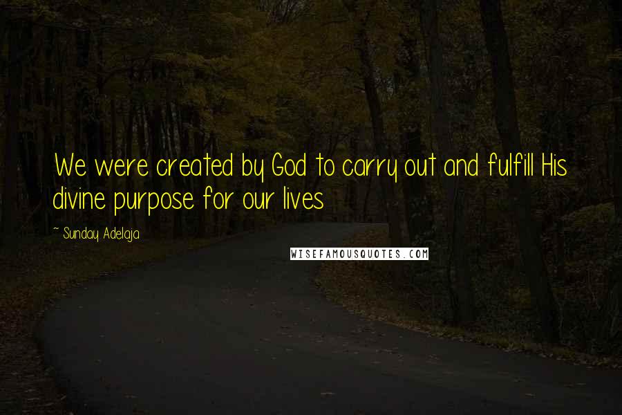 Sunday Adelaja Quotes: We were created by God to carry out and fulfill His divine purpose for our lives