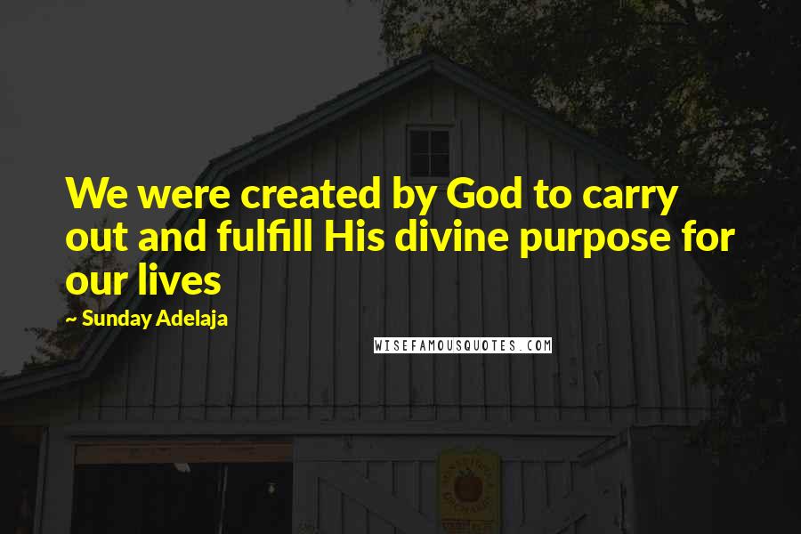 Sunday Adelaja Quotes: We were created by God to carry out and fulfill His divine purpose for our lives