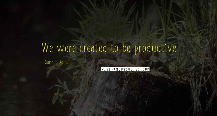 Sunday Adelaja Quotes: We were created to be productive