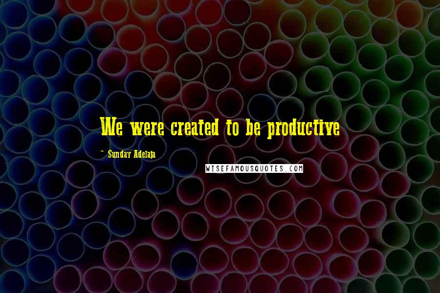 Sunday Adelaja Quotes: We were created to be productive