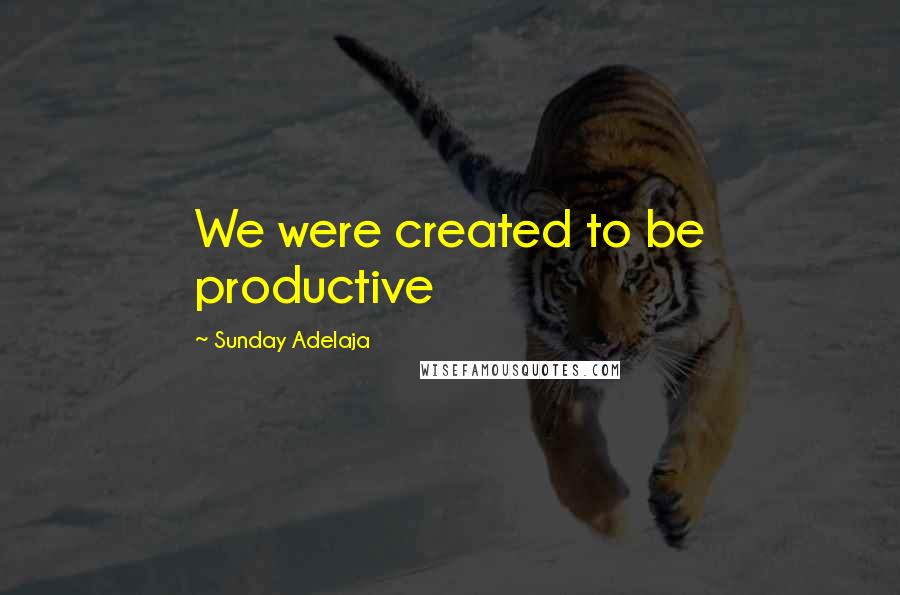 Sunday Adelaja Quotes: We were created to be productive
