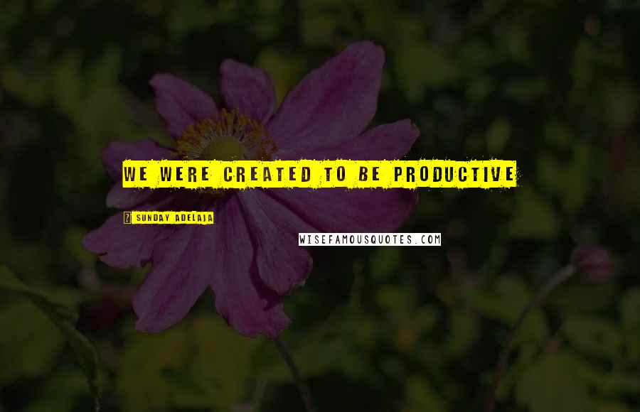 Sunday Adelaja Quotes: We were created to be productive