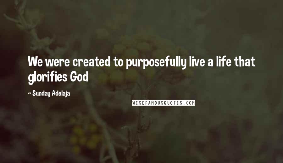 Sunday Adelaja Quotes: We were created to purposefully live a life that glorifies God