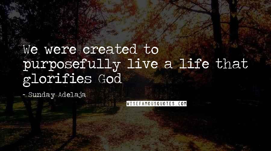 Sunday Adelaja Quotes: We were created to purposefully live a life that glorifies God