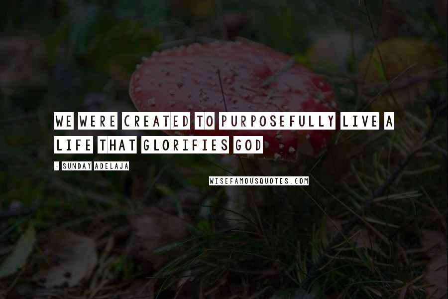 Sunday Adelaja Quotes: We were created to purposefully live a life that glorifies God