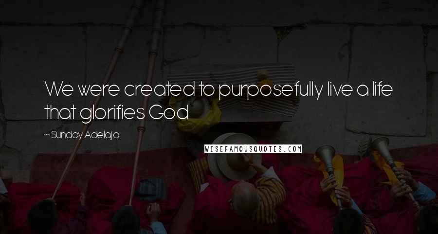 Sunday Adelaja Quotes: We were created to purposefully live a life that glorifies God