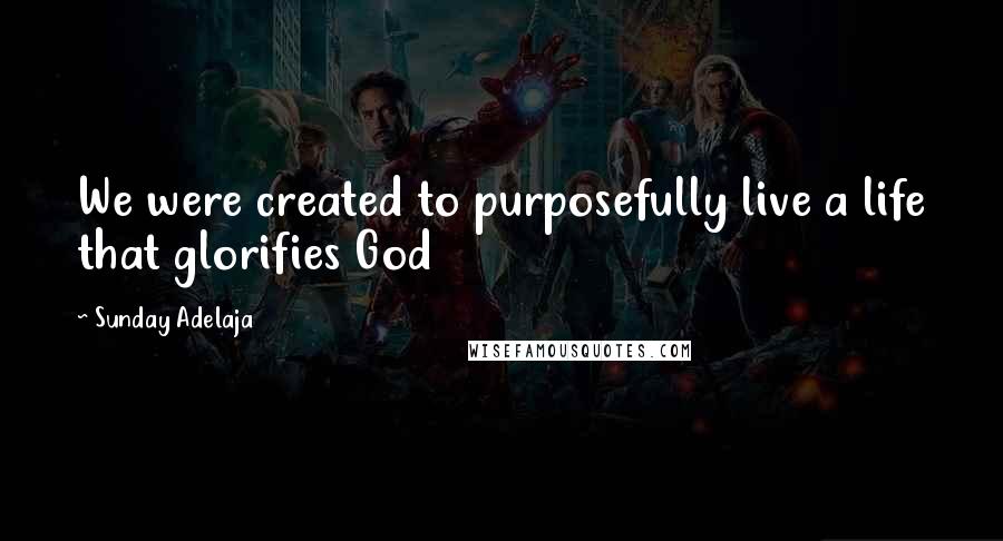Sunday Adelaja Quotes: We were created to purposefully live a life that glorifies God