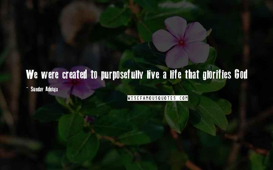 Sunday Adelaja Quotes: We were created to purposefully live a life that glorifies God