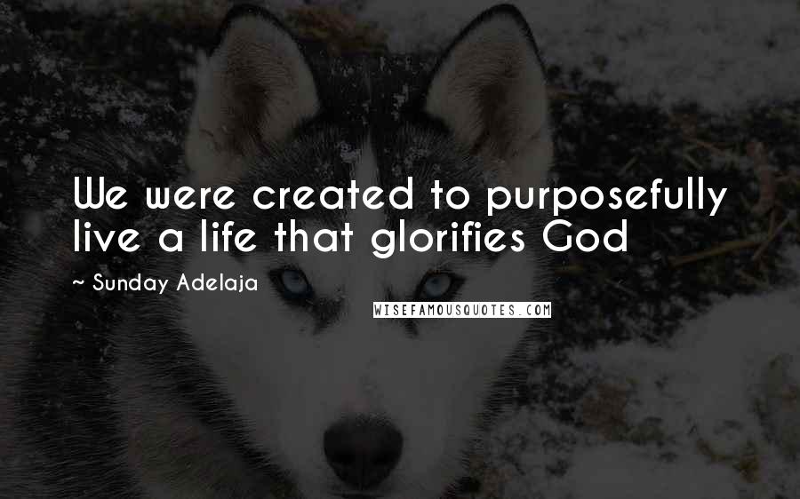 Sunday Adelaja Quotes: We were created to purposefully live a life that glorifies God