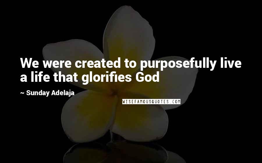 Sunday Adelaja Quotes: We were created to purposefully live a life that glorifies God