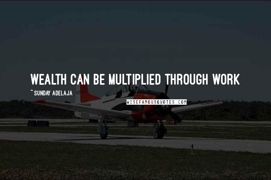 Sunday Adelaja Quotes: Wealth can be multiplied through work