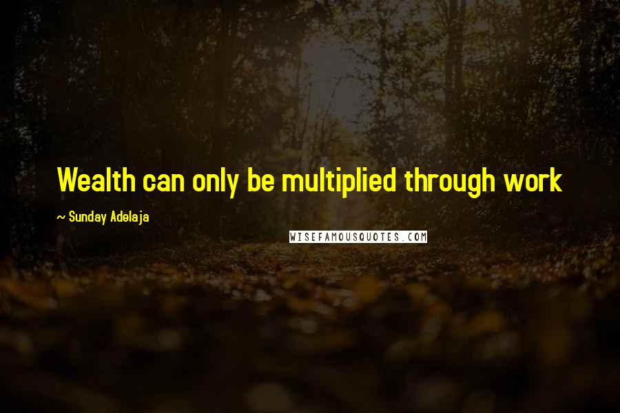 Sunday Adelaja Quotes: Wealth can only be multiplied through work