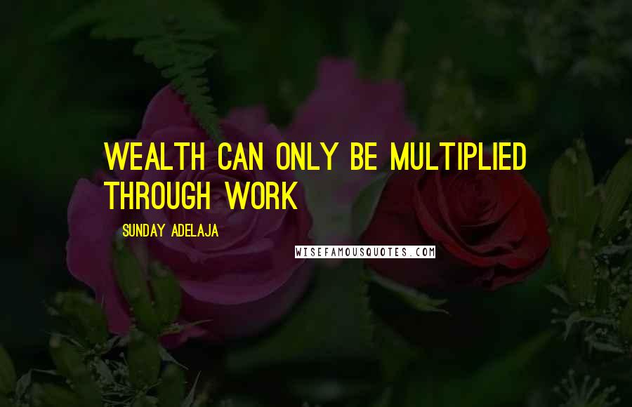 Sunday Adelaja Quotes: Wealth can only be multiplied through work