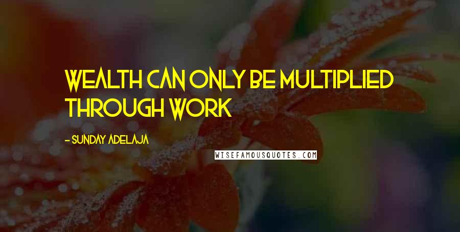 Sunday Adelaja Quotes: Wealth can only be multiplied through work