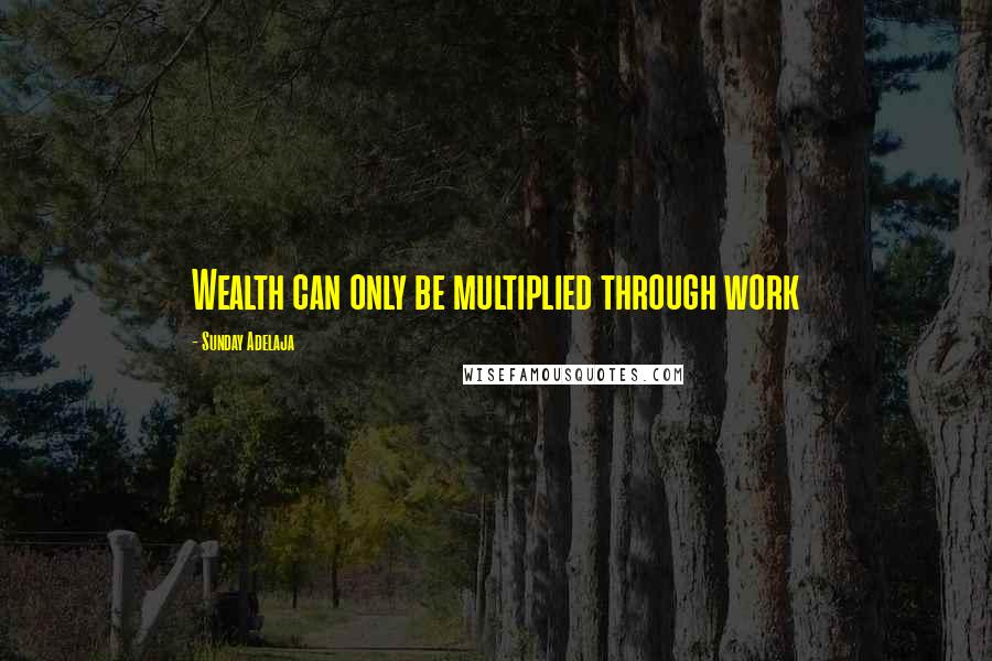 Sunday Adelaja Quotes: Wealth can only be multiplied through work