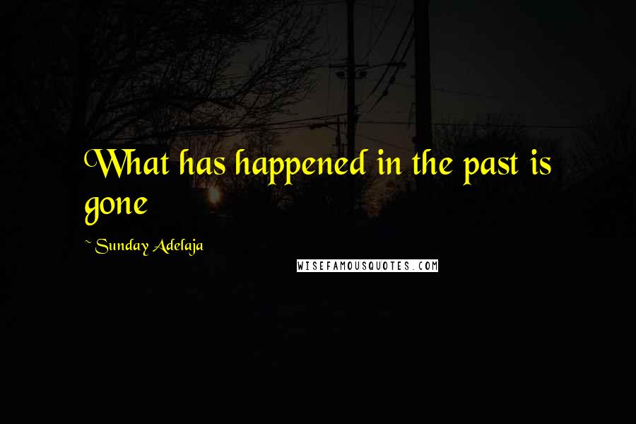 Sunday Adelaja Quotes: What has happened in the past is gone