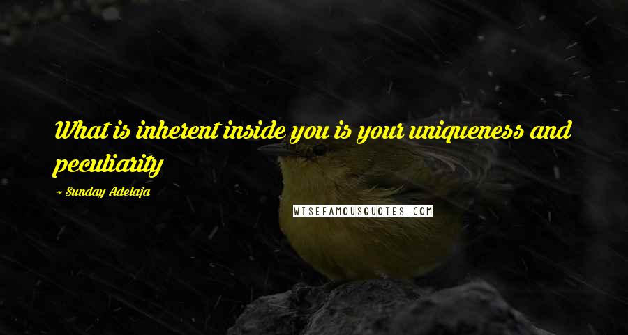 Sunday Adelaja Quotes: What is inherent inside you is your uniqueness and peculiarity