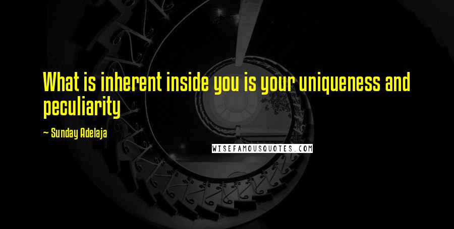 Sunday Adelaja Quotes: What is inherent inside you is your uniqueness and peculiarity