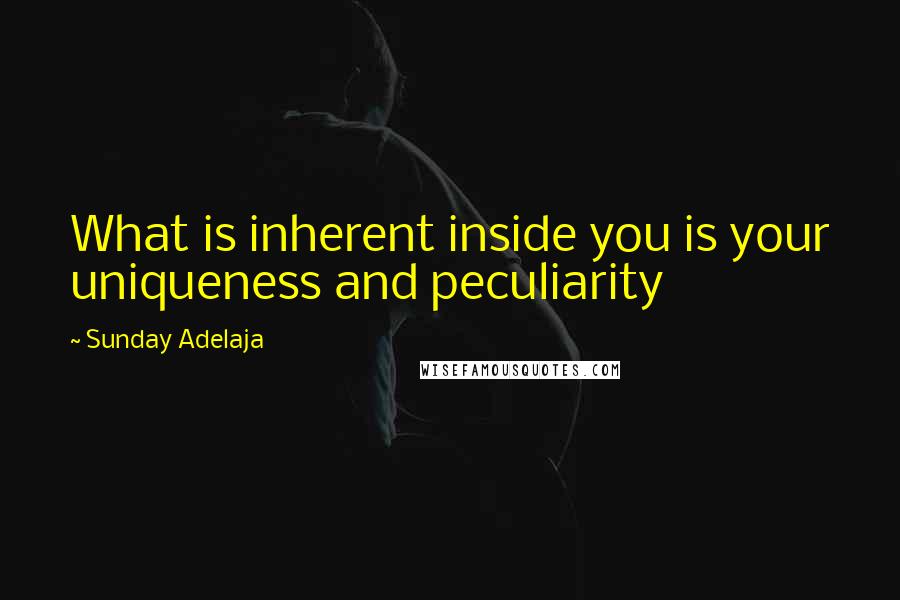Sunday Adelaja Quotes: What is inherent inside you is your uniqueness and peculiarity