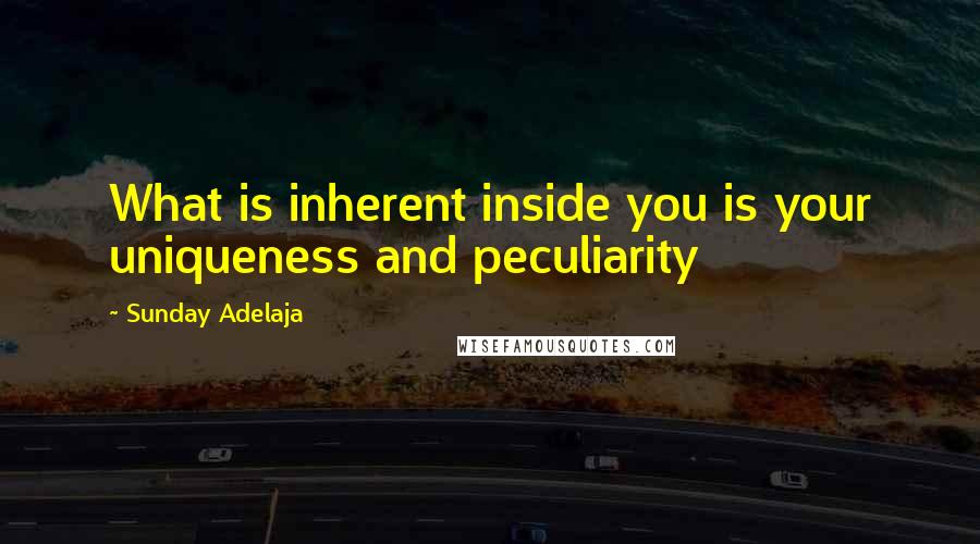 Sunday Adelaja Quotes: What is inherent inside you is your uniqueness and peculiarity