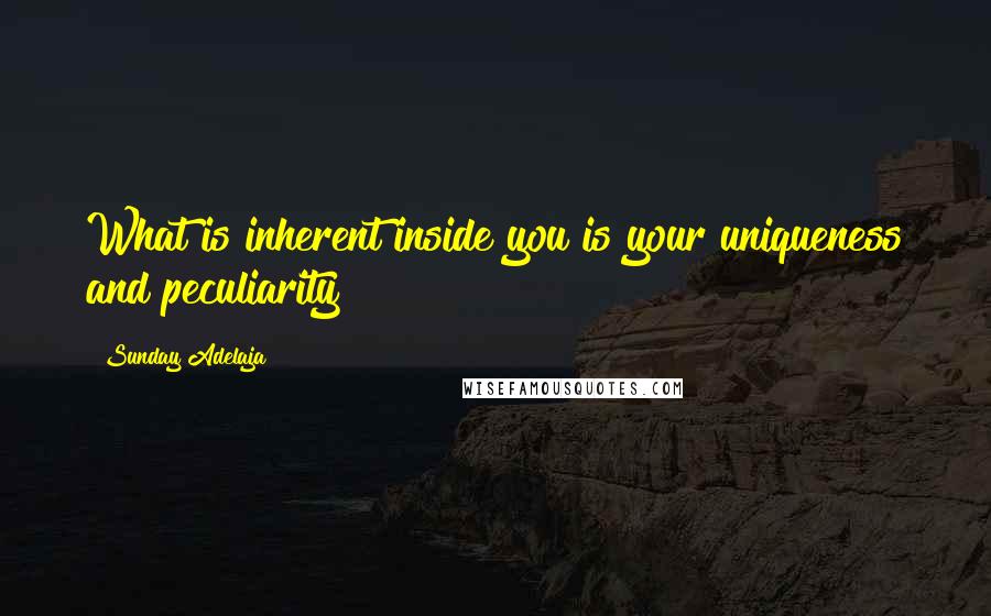 Sunday Adelaja Quotes: What is inherent inside you is your uniqueness and peculiarity