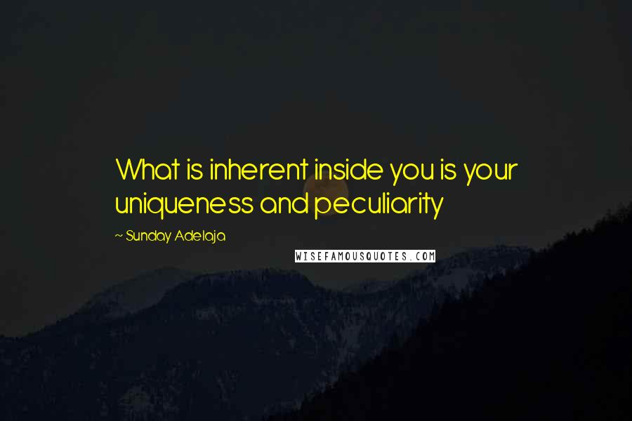 Sunday Adelaja Quotes: What is inherent inside you is your uniqueness and peculiarity