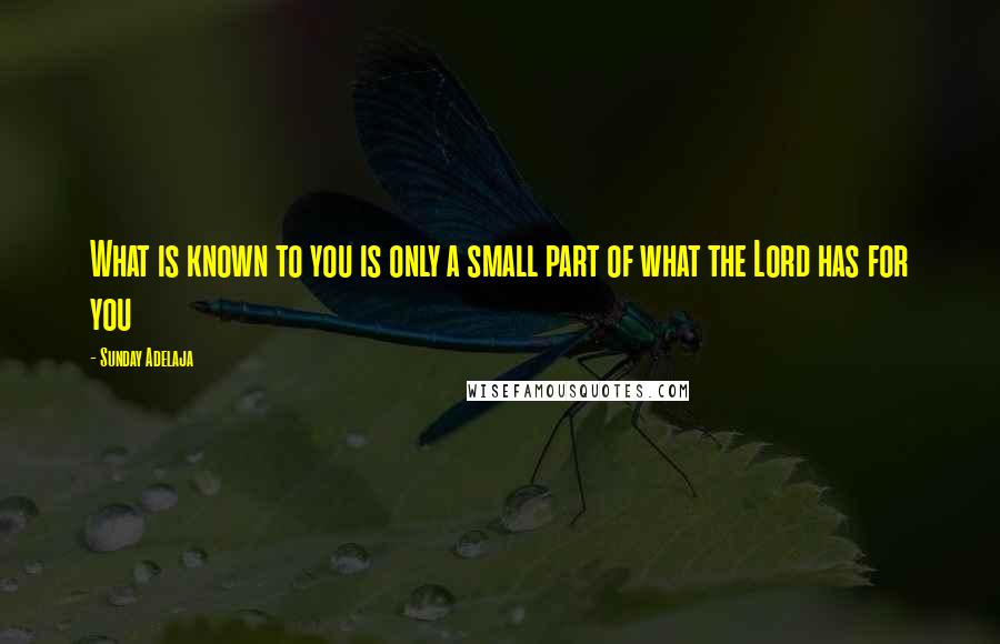 Sunday Adelaja Quotes: What is known to you is only a small part of what the Lord has for you