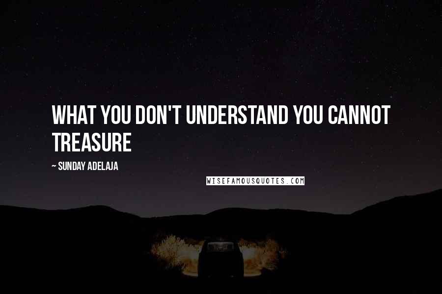 Sunday Adelaja Quotes: What you don't understand you cannot treasure