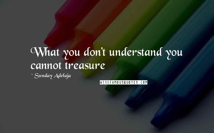 Sunday Adelaja Quotes: What you don't understand you cannot treasure