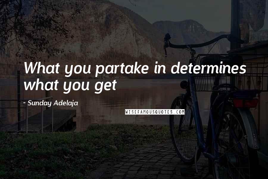 Sunday Adelaja Quotes: What you partake in determines what you get