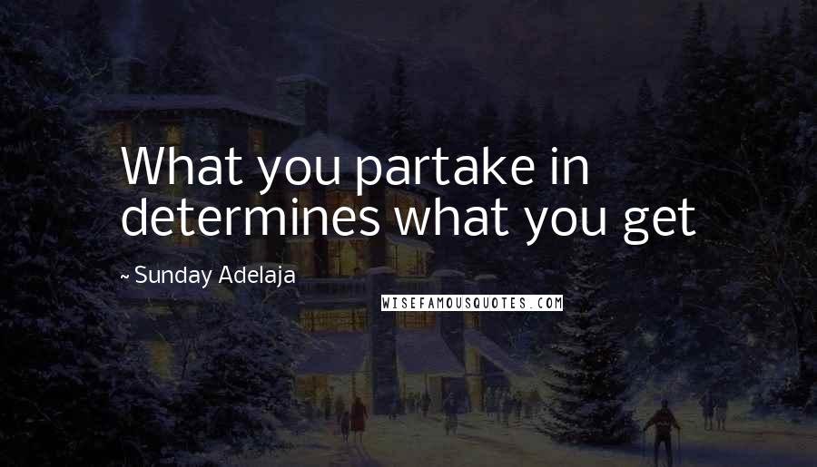 Sunday Adelaja Quotes: What you partake in determines what you get