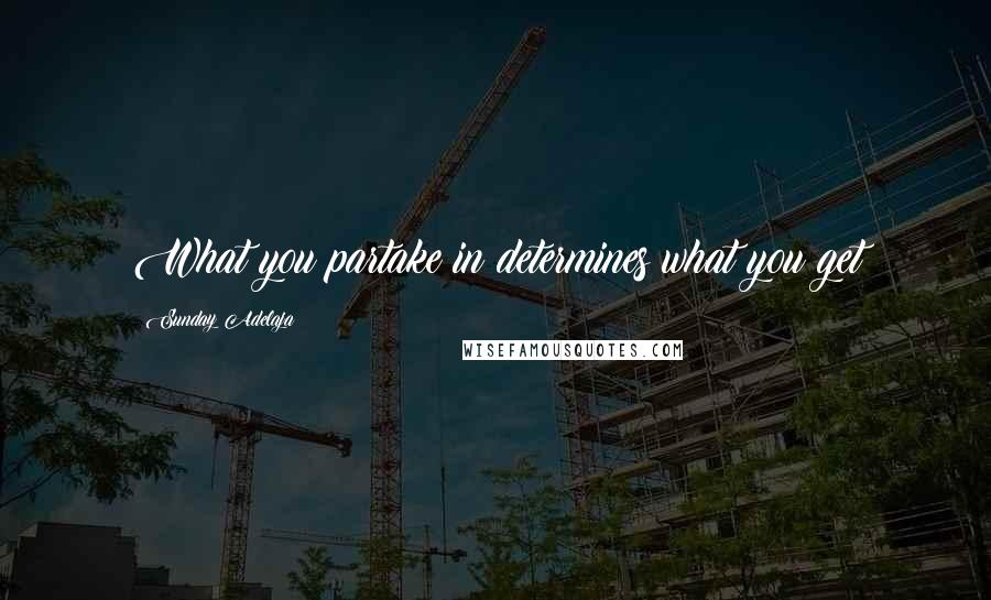 Sunday Adelaja Quotes: What you partake in determines what you get