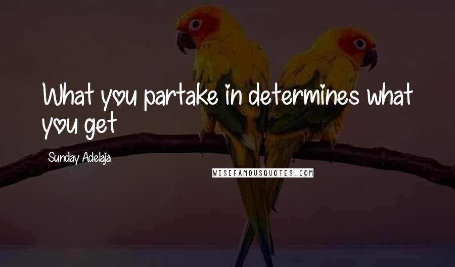 Sunday Adelaja Quotes: What you partake in determines what you get