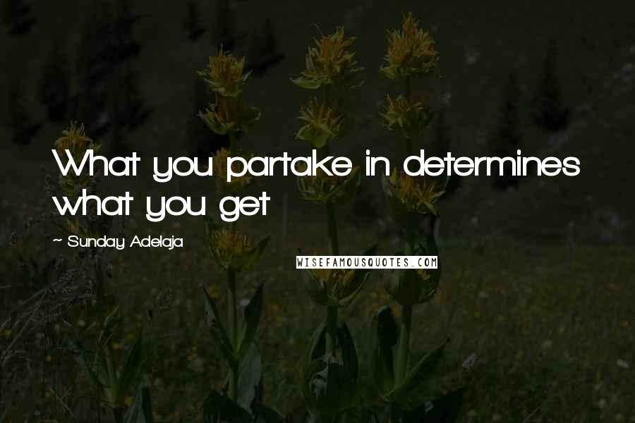 Sunday Adelaja Quotes: What you partake in determines what you get