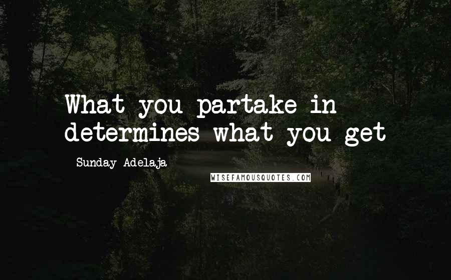 Sunday Adelaja Quotes: What you partake in determines what you get