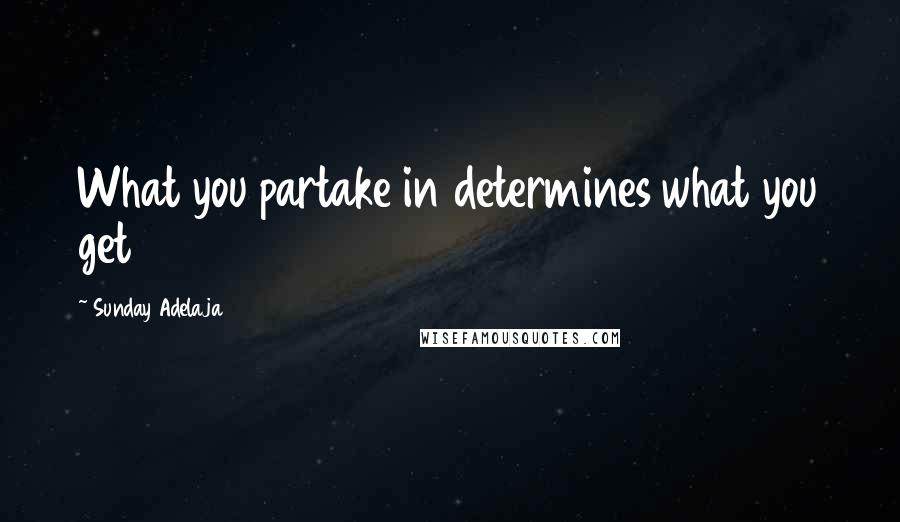 Sunday Adelaja Quotes: What you partake in determines what you get