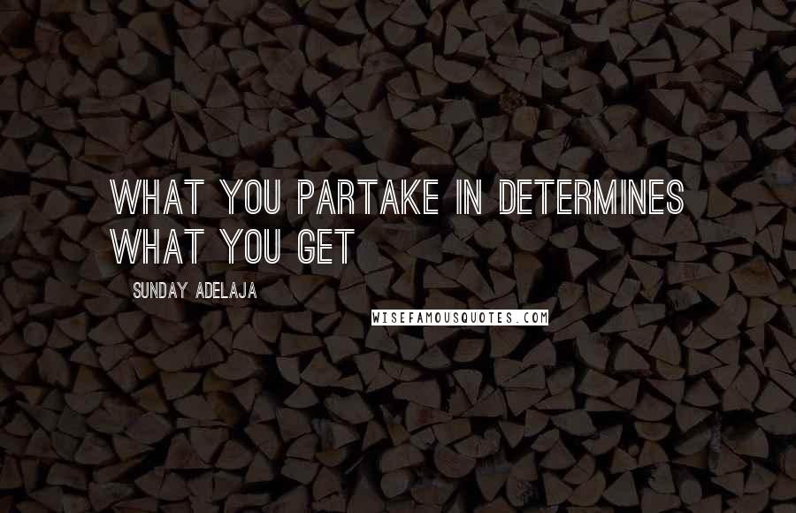 Sunday Adelaja Quotes: What you partake in determines what you get