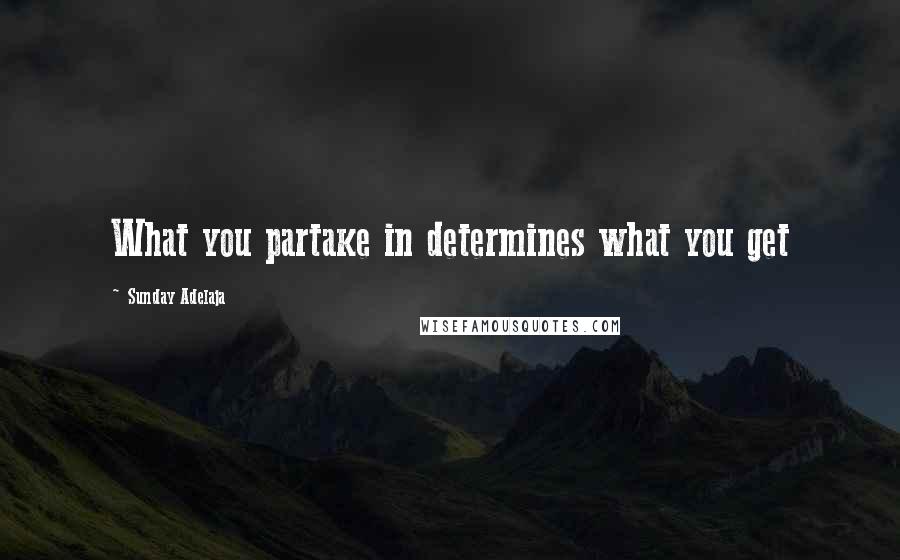 Sunday Adelaja Quotes: What you partake in determines what you get